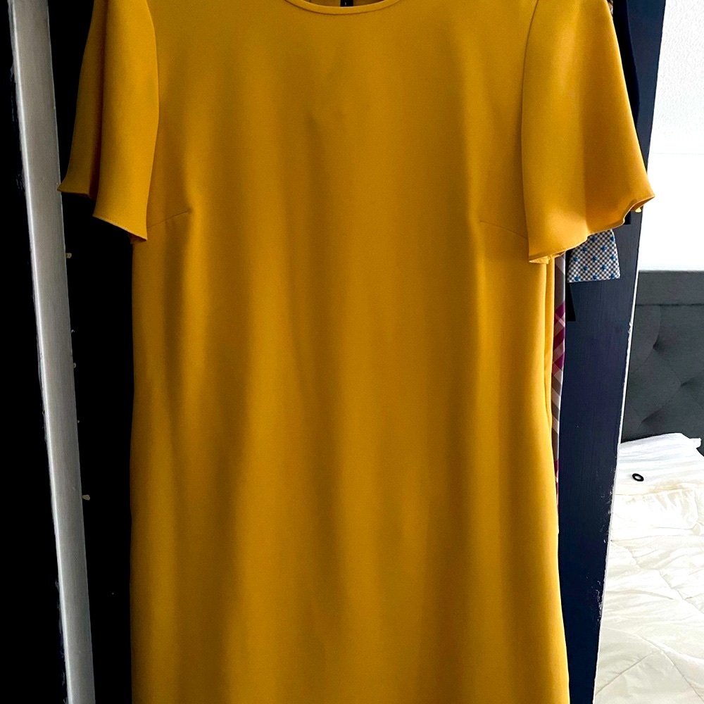 Anne Taylor Gold Flutter Sleeve Sheath Mini Dress